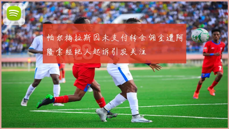 帕尔梅拉斯因未支付转会佣金遭阿隆索经纪人起诉引发关注